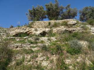 Grotte Castellucciane Ossena
